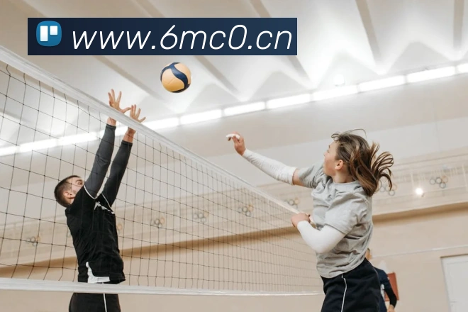 milan登录入口发展历程